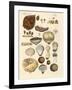 Cryptograms Plants-null-Framed Giclee Print