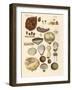 Cryptograms Plants-null-Framed Giclee Print