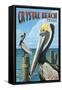 Crystal Beach, Texas - Pelicans-Lantern Press-Framed Stretched Canvas