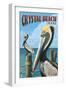 Crystal Beach, Texas - Pelicans-Lantern Press-Framed Art Print