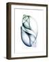 Crystal Breeze 1-Albert Koetsier-Framed Art Print