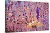 Crystal Candlestick, Vienna, Austria-Rainer Mirau-Stretched Canvas