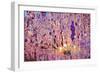 Crystal Candlestick, Vienna, Austria-Rainer Mirau-Framed Photographic Print