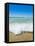 Crystal Clear Blue Sea at Surfers Paradise, Gold Coast, Queensland, Australia, Pacific-Matthew Williams-Ellis-Framed Stretched Canvas