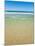 Crystal Clear Blue Sea at Surfers Paradise, Gold Coast, Queensland, Australia, Pacific-Matthew Williams-Ellis-Mounted Photographic Print