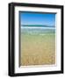 Crystal Clear Blue Sea at Surfers Paradise, Gold Coast, Queensland, Australia, Pacific-Matthew Williams-Ellis-Framed Photographic Print