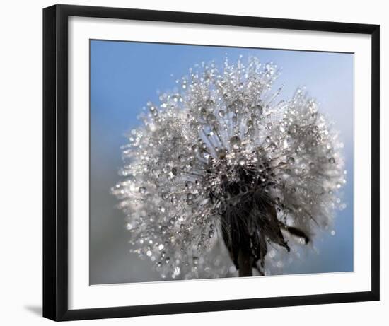 Crystal Clear Bouquet-Mikio Watanabe-Framed Art Print