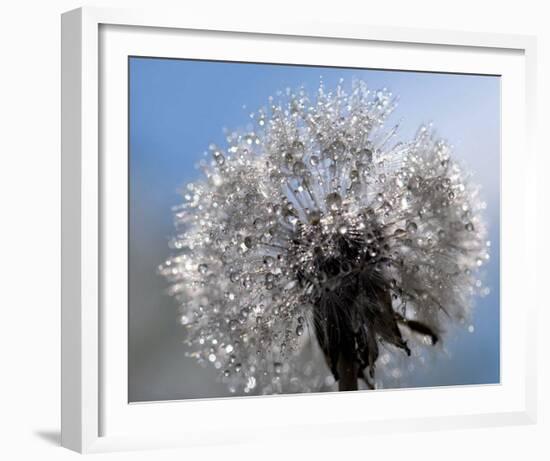 Crystal Clear Bouquet-Mikio Watanabe-Framed Art Print