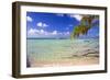 Crystal Clear Caribbean Waters Cayman Islands-George Oze-Framed Photographic Print