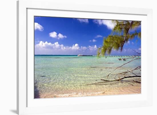 Crystal Clear Caribbean Waters Cayman Islands-George Oze-Framed Photographic Print