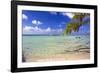 Crystal Clear Caribbean Waters Cayman Islands-George Oze-Framed Photographic Print