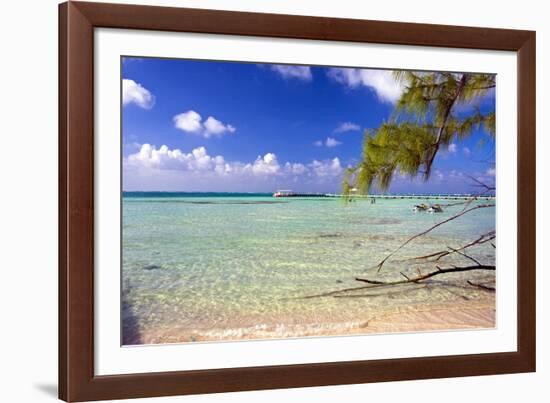 Crystal Clear Caribbean Waters Cayman Islands-George Oze-Framed Photographic Print