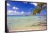 Crystal Clear Caribbean Waters Cayman Islands-George Oze-Framed Stretched Canvas