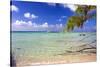 Crystal Clear Caribbean Waters Cayman Islands-George Oze-Stretched Canvas