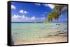 Crystal Clear Caribbean Waters Cayman Islands-George Oze-Framed Stretched Canvas