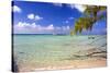 Crystal Clear Caribbean Waters Cayman Islands-George Oze-Stretched Canvas