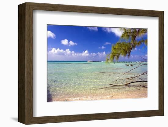 Crystal Clear Caribbean Waters Cayman Islands-George Oze-Framed Photographic Print