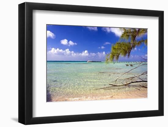 Crystal Clear Caribbean Waters Cayman Islands-George Oze-Framed Photographic Print