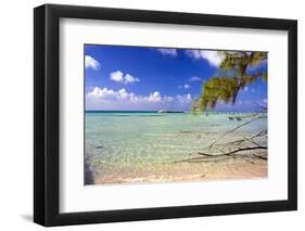 Crystal Clear Caribbean Waters Cayman Islands-George Oze-Framed Photographic Print