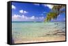 Crystal Clear Caribbean Waters Cayman Islands-George Oze-Framed Stretched Canvas