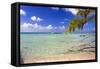 Crystal Clear Caribbean Waters Cayman Islands-George Oze-Framed Stretched Canvas