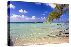 Crystal Clear Caribbean Waters Cayman Islands-George Oze-Stretched Canvas