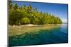 Crystal Clear Water and an Islet in the Ant Atoll, Pohnpei, Micronesia, Pacific-Michael Runkel-Mounted Photographic Print