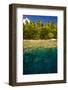 Crystal Clear Water and an Islet in the Ant Atoll, Pohnpei, Micronesia, Pacific-Michael Runkel-Framed Photographic Print