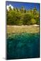 Crystal Clear Water and an Islet in the Ant Atoll, Pohnpei, Micronesia, Pacific-Michael Runkel-Mounted Photographic Print