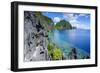 Crystal Clear Water in the Bacuit Archipelago, Palawan, Philippines, Southeast Asia, Asia-Michael Runkel-Framed Photographic Print