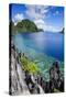 Crystal Clear Water in the Bacuit Archipelago, Palawan, Philippines, Southeast Asia, Asia-Michael Runkel-Stretched Canvas