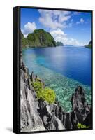 Crystal Clear Water in the Bacuit Archipelago, Palawan, Philippines, Southeast Asia, Asia-Michael Runkel-Framed Stretched Canvas