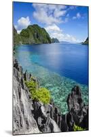 Crystal Clear Water in the Bacuit Archipelago, Palawan, Philippines, Southeast Asia, Asia-Michael Runkel-Mounted Photographic Print