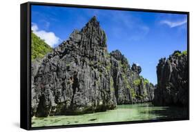Crystal Clear Water in the Bacuit Archipelago, Palawan, Philippines, Southeast Asia, Asia-Michael Runkel-Framed Stretched Canvas