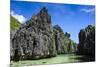 Crystal Clear Water in the Bacuit Archipelago, Palawan, Philippines, Southeast Asia, Asia-Michael Runkel-Mounted Photographic Print