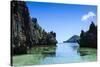 Crystal Clear Water in the Bacuit Archipelago, Palawan, Philippines, Southeast Asia, Asia-Michael Runkel-Stretched Canvas