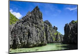 Crystal Clear Water in the Bacuit Archipelago, Palawan, Philippines, Southeast Asia, Asia-Michael Runkel-Mounted Photographic Print