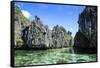 Crystal Clear Water in the Bacuit Archipelago, Palawan, Philippines-Michael Runkel-Framed Stretched Canvas