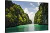 Crystal Clear Water in the Bacuit Archipelago, Palawan, Philippines-Michael Runkel-Stretched Canvas