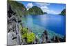 Crystal Clear Water in the Bacuit Archipelago, Palawan, Philippines-Michael Runkel-Mounted Photographic Print