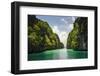 Crystal Clear Water in the Bacuit Archipelago, Palawan, Philippines-Michael Runkel-Framed Photographic Print