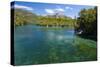 Crystal Clear Water in the Los Alerces National Park, Chubut, Patagonia, Argentina, South America-Michael Runkel-Stretched Canvas