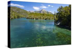 Crystal Clear Water in the Los Alerces National Park, Chubut, Patagonia, Argentina, South America-Michael Runkel-Stretched Canvas
