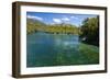 Crystal Clear Water in the Los Alerces National Park, Chubut, Patagonia, Argentina, South America-Michael Runkel-Framed Photographic Print