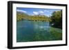 Crystal Clear Water in the Los Alerces National Park, Chubut, Patagonia, Argentina, South America-Michael Runkel-Framed Photographic Print