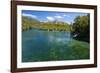 Crystal Clear Water in the Los Alerces National Park, Chubut, Patagonia, Argentina, South America-Michael Runkel-Framed Photographic Print