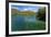 Crystal Clear Water in the Los Alerces National Park, Chubut, Patagonia, Argentina, South America-Michael Runkel-Framed Photographic Print