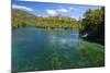 Crystal Clear Water in the Los Alerces National Park, Chubut, Patagonia, Argentina, South America-Michael Runkel-Mounted Photographic Print