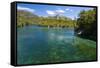 Crystal Clear Water in the Los Alerces National Park, Chubut, Patagonia, Argentina, South America-Michael Runkel-Framed Stretched Canvas