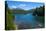 Crystal Clear Water in the Los Alerces National Park, Chubut, Patagonia, Argentina, South America-Michael Runkel-Stretched Canvas